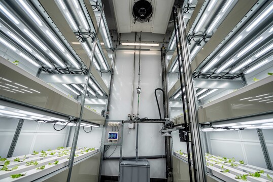 Ein Sensorsystem fhrt ber die verschiedenen Regalebenen der Anzuchtkammer, um das Wachstum der Salatpflanzen zu analysieren. So knnen der Licht- und Nhrstoffbedarf optimal angepasst werden.