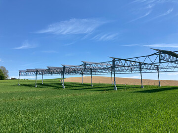 Bei Drre sogar ertragssteigernd: Hoch aufgestnderte Agri-Photovoltaikanlagen schtzen durch Beschattung.