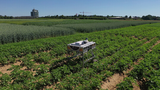 Der groe Roboter CURTdiff kann Pflanzreihen autonom erkennen und abfahren und so perspektivisch z. B. fr die Beikrautregulierung eingesetzt werden.