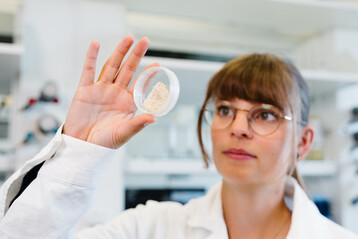 Im Bielefelder Projektteil wird unter anderem die optimale Formulierung fr den Wirkstoff entwickelt, also eine anwendbare Form fr den Einsatz des Blaualgen-Zuckers als Herbizid.