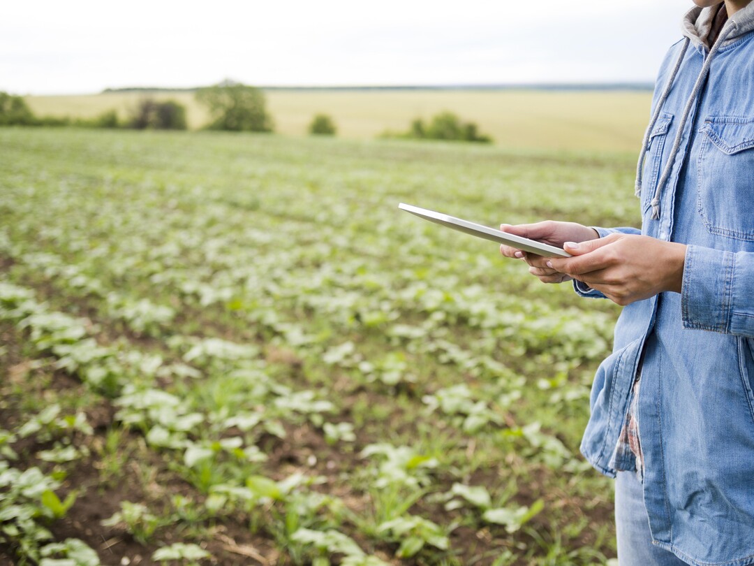 Das Julius Kühn-Institut (JKI) sucht Landwirte, die sich an der Befragung zu Pflanzenschutzstrategien im Weizen- und Kartoffelanbau beteiligen.