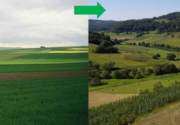 Kleine Felder, vielfltige Kulturen und mindestens ein Fnftel naturnaher Flchen wren im Sinne der UN Dekade (2021-2030) zur umfassenden Wiederherstellung von kosystemen. 