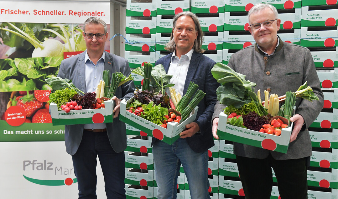 Die Frischgemse-Saison bei 
Pfalzmarkt eG in Mutterstadt ist erffnet. ber das Erntekrbchen freuen sich (v. l.): Reinhard Oerther (Pfalzmarkt-Vorstand), Christian Deyerling (Aufsichtsratsvorsitzender) und Hans-Jrg Friedrich (Pfalzmarkt-Vorstand). <br>