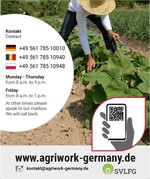 Zum Beispiel über ein Plakat zum Aushang in den Unterkünften für Saisonarbeitskräfte können
die Erntehelferinnen und -helfer über das kostenlose Angebot der SVLFG-Web-App informiert
werden.