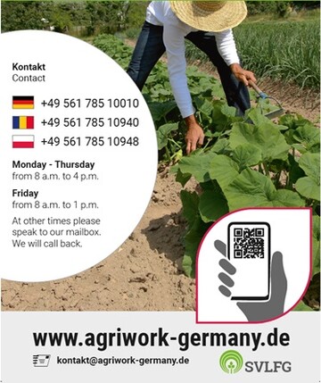 Zum Beispiel ber ein Plakat zum Aushang in den Unterknften fr Saisonarbeitskrfte knnen
die Erntehelferinnen und -helfer ber das kostenlose Angebot der SVLFG-Web-App informiert
werden.