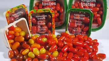 Schwerpunkte des Leuchtturmprojektes in den Emiraten waren Prozessoptimierung sowie die Erweiterung des Tomatensortiments.