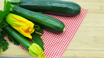 Leicht zu ernten und im Garten wie auf dem Teller ein Blickfang: Die grne Zucchini-Sorte Fred. 