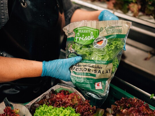 Bei Kaufland finden die Kunden in vielen Filialen bundesweit zwei verschiedene Salatsorten jeweils mit Wurzelballen, vom Rheinlandhof.