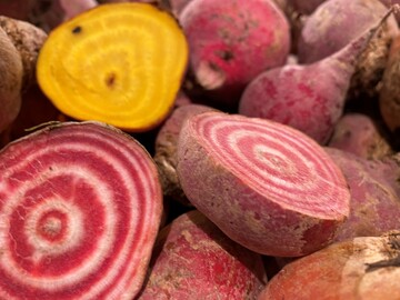 Der Startschuss zur Winter-Rben-Saison ist gefallen  mittendrin Rote Bete. Sie gibt es allerdings nicht nur in der typisch dunkelroten Farbe, sondern auch mit Ringeln oder in gelb. Der Variation auf dem Teller ist also keine Grenze gesetzt.