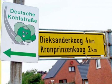 g.g.A. für Dithmarscher Kohl