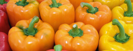 Verzehrsmonitor: Paprika
