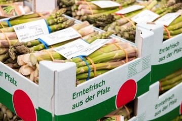 Erntefrisch aus der Pfalz ist in der diesjhrigen Spargelsaison sehr gut bei den Partnern im LEH sowie bei Gromrkten angekommen. Die 120 aktiven Pfalzmarkt-Erzeuger leisten  im Team mit den rund 200 Mitarbeitern der Handelsplattform in Mutterstadt  alles Menschenmgliche, damit die Frischevorteile verlsslich und auf krzestem Weg bei den Verbrauchern ankommen.