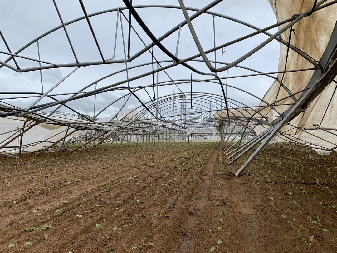 Fr die Gartenbau-Versicherung war 2022 erneut ein berdurchschnittliches Schadenjahr.