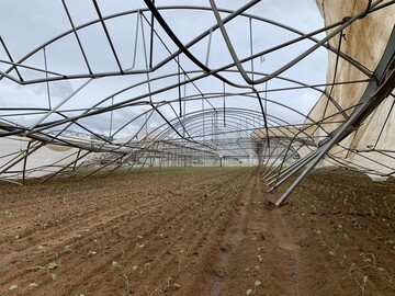 Fr die Gartenbau-Versicherung war 2022 erneut ein berdurchschnittliches Schadenjahr.
