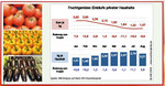 1 Fruchtgemüse – Preise und Mengen 2009
