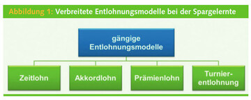 Verbreitete Entlohnungsmodelle bei der Spargelernte