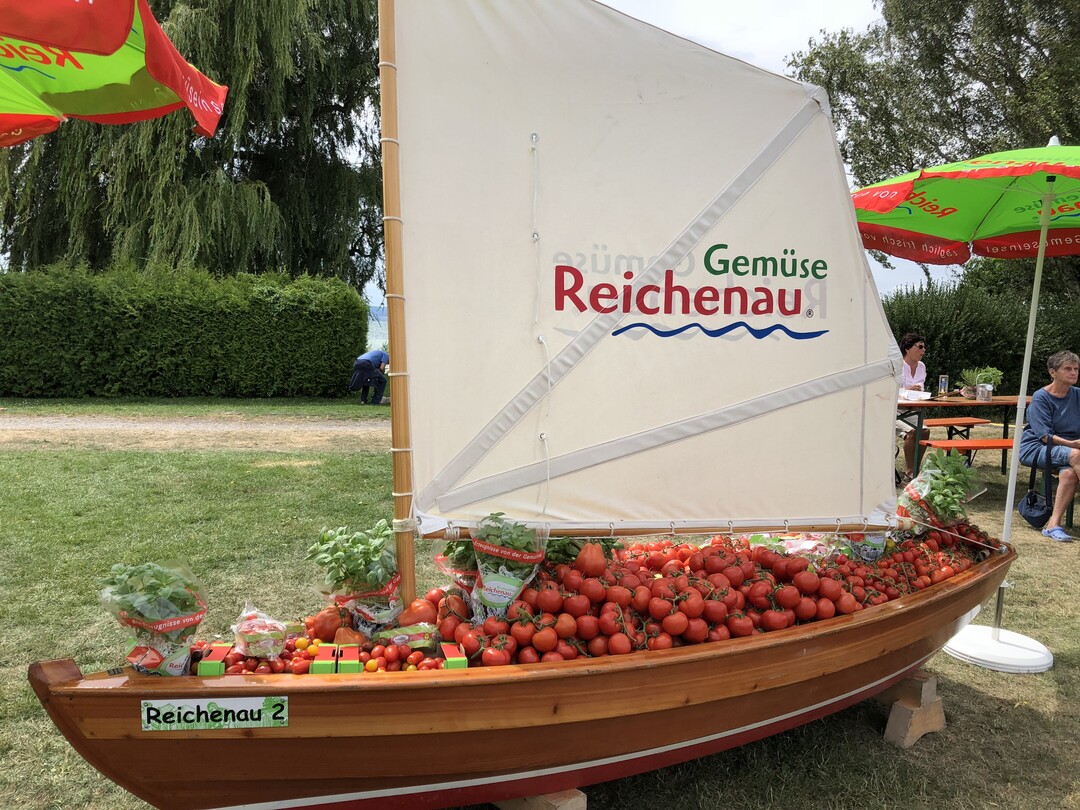 Insgesamt werden in diesem Jahr auf der Gemseinsel wieder rund 2 Millionen Kilogramm Tomaten geerntet.