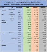 Übersicht 1: Zusätzliche Kosten auf Grund der CO2-Bepreisung 2021 bis 2025.