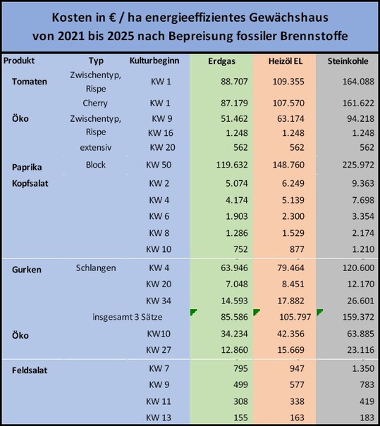 bersicht 1: Zustzliche Kosten auf Grund der CO2-Bepreisung 2021 bis 2025.