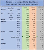 Übersicht 2: Zusätzliche Kosten nach CO2-Bepreisung im Jahr 2025 mit 35 €/t CO2.