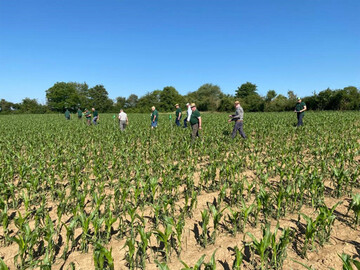 Schwere Unwetter an Fronleichnam sorgten fr zahlreiche Schden in der Landwirtschaft.