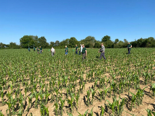 Schwere Unwetter an Fronleichnam sorgten fr zahlreiche Schden in der Landwirtschaft.