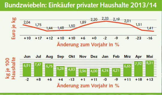 Bundzwiebeln: Einkäufer privater Haushalte 2013/14