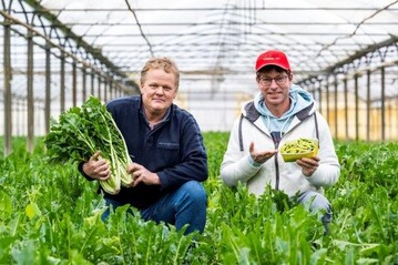 Gemse-Spezialitten sind genau das Ding der beiden Pfalzmarkt-Erzeuger Ralf Weber (links im Bild) aus Schifferstadt und Thomas Reeb aus Dudenhofen. Beim Anbau von Vulkanspargel und Edamame setzen die beiden auf die besonders nachhaltigen Superfoods aus deutschem Anbau. 
