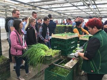 Junge Marktgrtner in der Firma Bttcher Gartenbau.